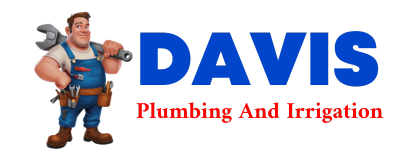 Trusted plumber in OVERTON